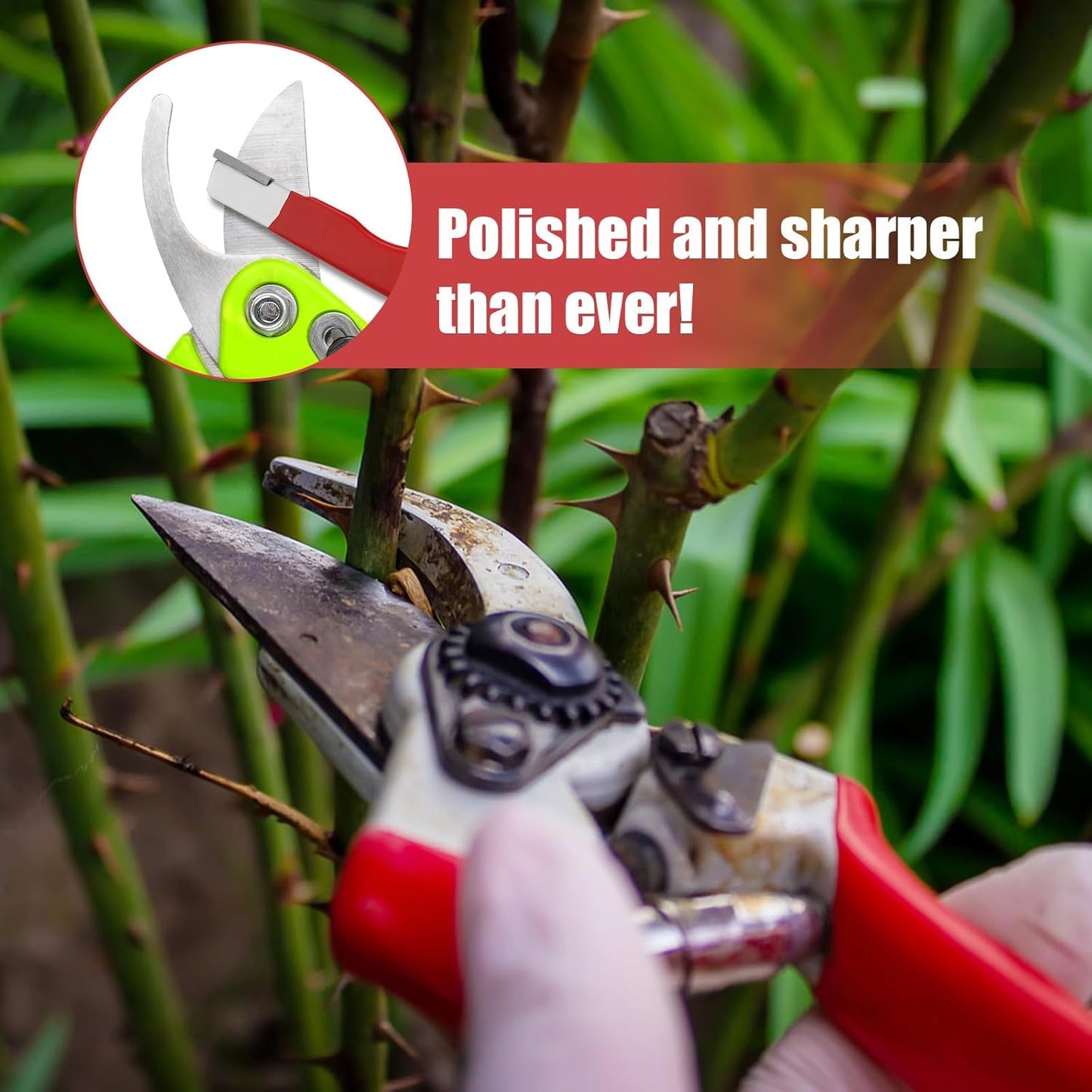 Quick Sharpener & Stain Remover Tool