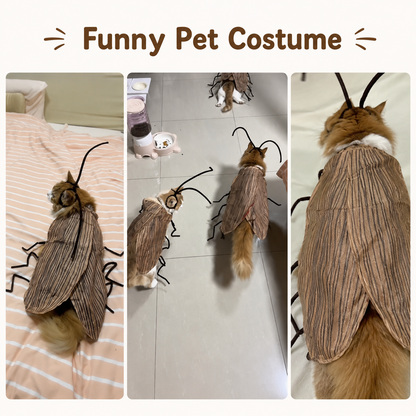Viral Cat Cockroach Costume